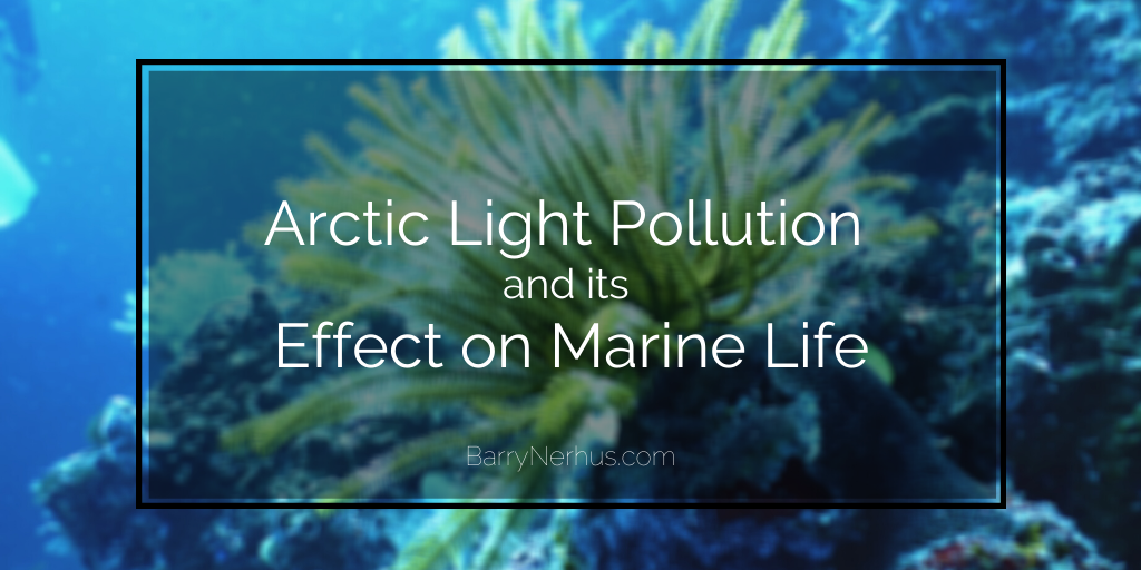 According to National Geographic, research by biologist Geir Johnsen indicates that Arctic light pollution is one of the leading causes of endang